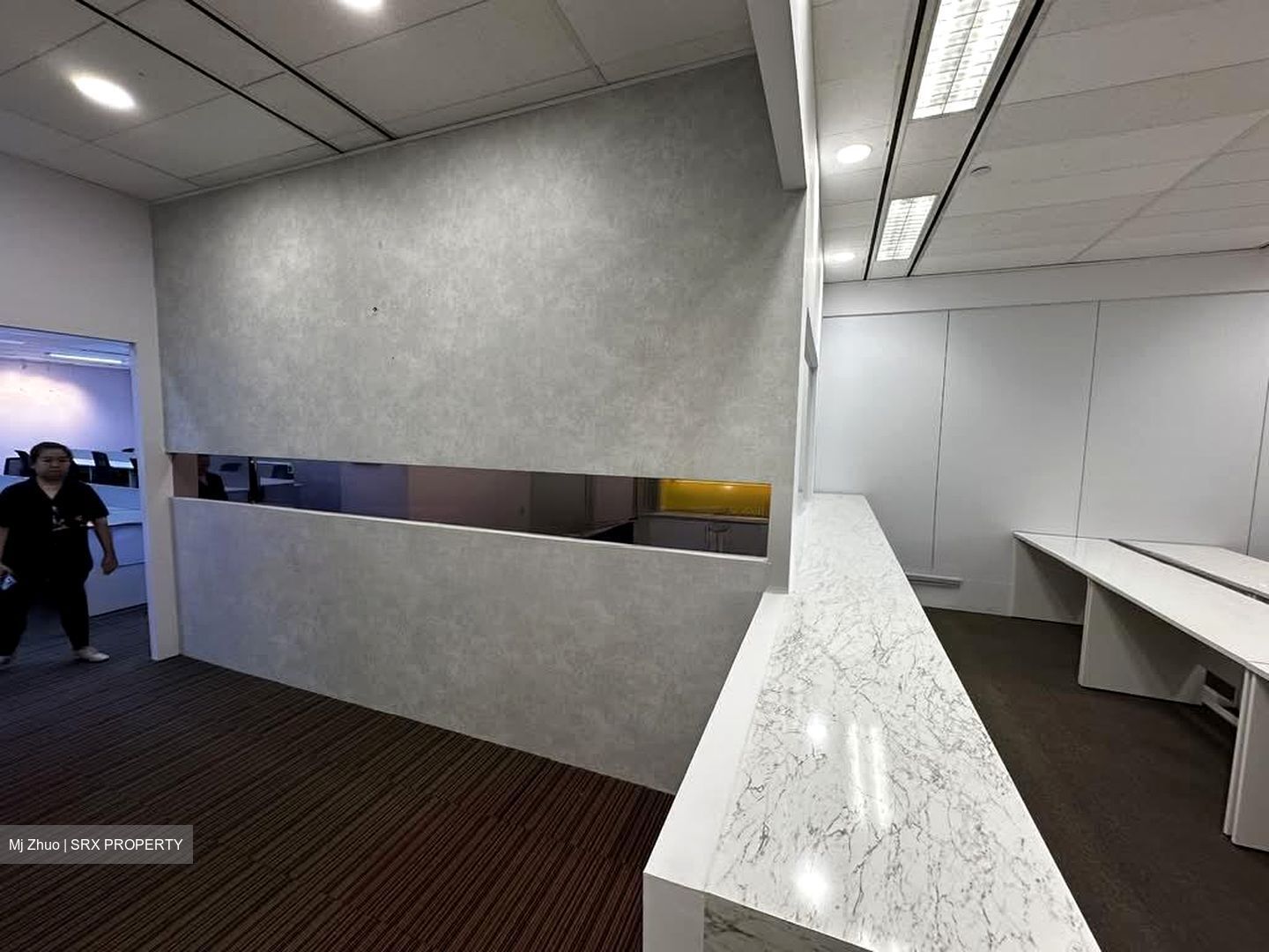 51 Cuppage Road (D9), Office #540477121